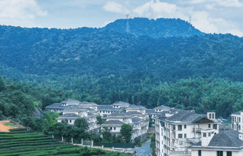 Hangzhou city view